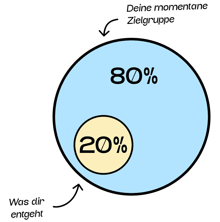 Eine Illustration von einem Kreis, in dem 80% steht. Darin befindet sich ein kleinerer Kreis in dem 20 % steht. Die Grafik symbolisiert, wie groß der Anteil an Menschen ist, die nicht berücksichtigt werden.