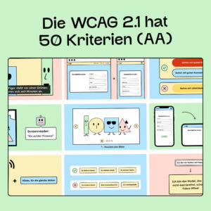 Die WCAG 2.1 hat 50 Kriterien (A plus AA). Man sieht einen Screenshot von 9 Kriterien, die von uns illustriert wurden.